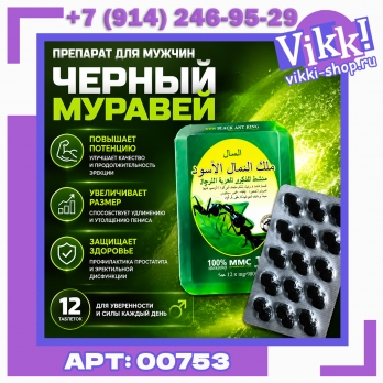 Черный муравей  (Black king ant) 12шт.